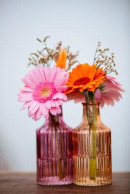 Orange Care 2025 9702